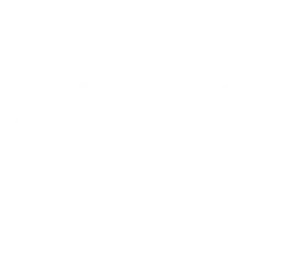 UFC